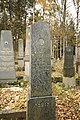 Čeština: Hroby na židovském hřbitově v Dřevíkově, okr. Chrudim. English: Gravestones at Jewish Cemetery in Dřevíkov, Chrudim District