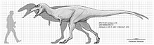 Estimated size compared to a human Gualicho shinyae scale.jpg