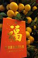 HK Lam Tin 藍田 匯景廣場 Sceneway Plaza mall Lunar Chinese New Year tree n lai see Jan 2017 IX1 02.jpg