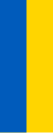 Ukraina Bayrogʻi