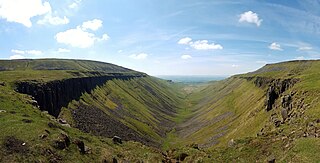 High Cup Gill