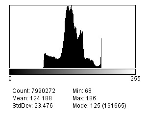 Ficheiro:Histogram of ursos.tif