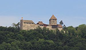 Hohenklingen Castle (after renovation in 2008)