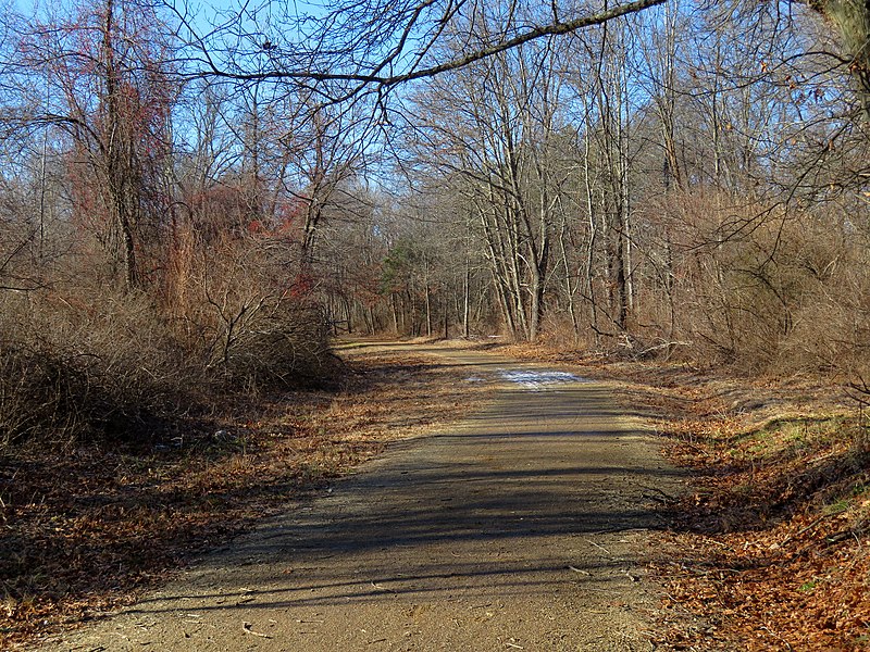 File:Hop River Trail west of Hop River Road, December 2018.JPG