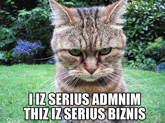 I IZ SERIUS ADMNIM THIZ IZ SERIUS BIZNIS lolcat