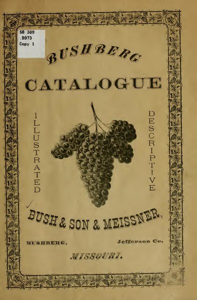 File:Illustrated descriptive catalogue of American grape-vines, with brief directions for their culture (IA illustrateddescr03bush).pdf