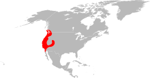 Карта на обхвата на Ixodes pacificus.svg