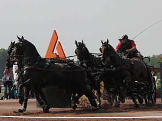 <span class="mw-page-title-main">Christoph Sandmann</span> German equestrian