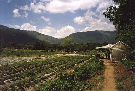 Jarabacoa