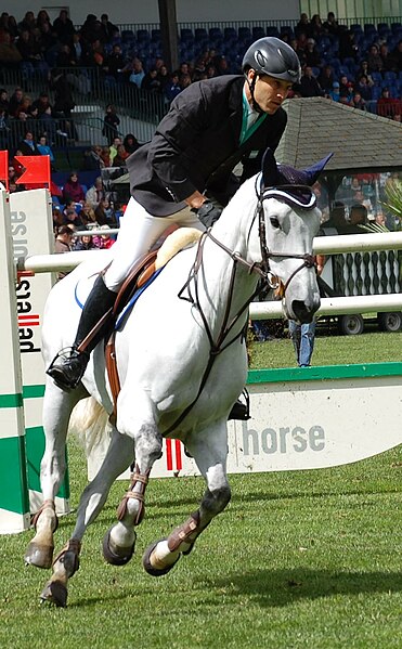 File:José Larocca mit Tortola, CSI 5 Hamburg 2012.JPG