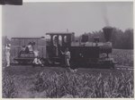 KITLV - 5416 - Kurkdjian - Soerabaja - Steam train on the grounds of the sugar plantation Ketanen at Mojokerto - 1916-04.tif