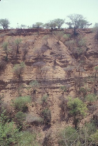 <span class="mw-page-title-main">Kapthurin Formation</span> Pleistocene geological formation in East Africa