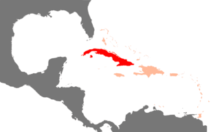 Karibik Kuba Position.png