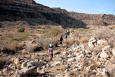 Trekking is something not to miss while here