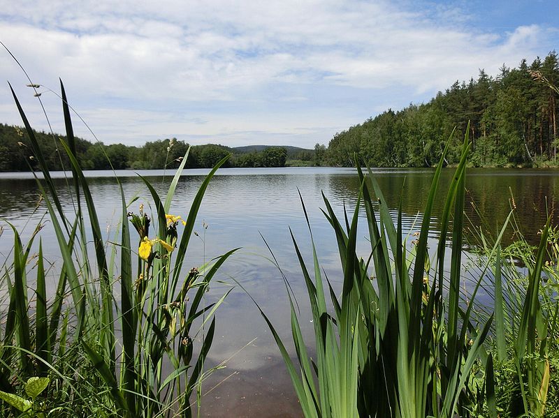 File:Kulmbergweiher 2 - panoramio.jpg