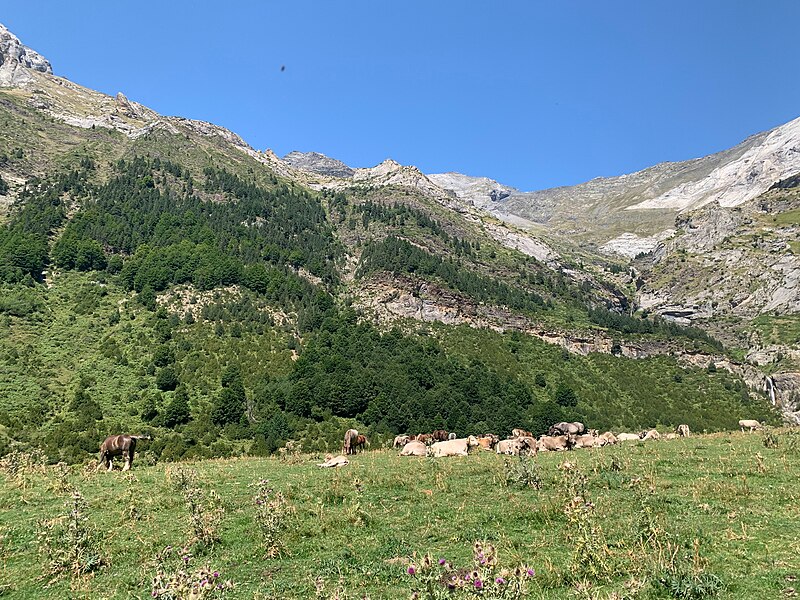 File:La Larri, Ordesa y Monte Perdido 19 21 51 433000.jpeg