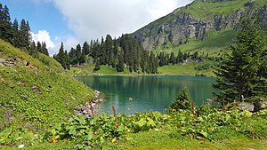 Lac Lioson 2.jpg