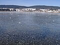 Lac de Saint-Point gelé.jpg