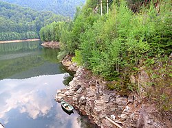 Lacul de acumulare Tău-Bistra, Richter Alba-IMG 5276.JPG