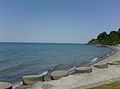 Lake Erie in June 2012 - panoramio.jpg