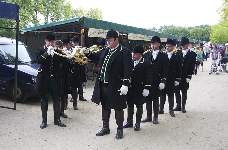 File:Lamotte-Beuvron horns A.jpg