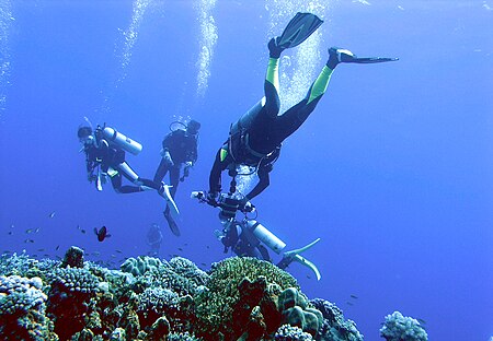 Layang-Layang diving17.jpg