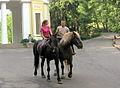 Paseo a caballo