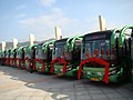 Lianjiang LNG Bus.jpg