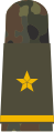 Oberfähnrich zur See (Senior Midshipman OA mounting strap, with embroidered nautical star)