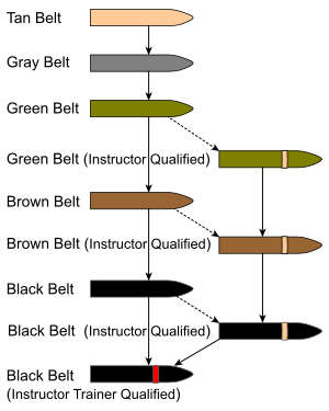 MCMAP Belt Structure