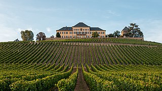 <span class="mw-page-title-main">Schloss Johannisberg</span> Castle and winery in Hesse, Germany