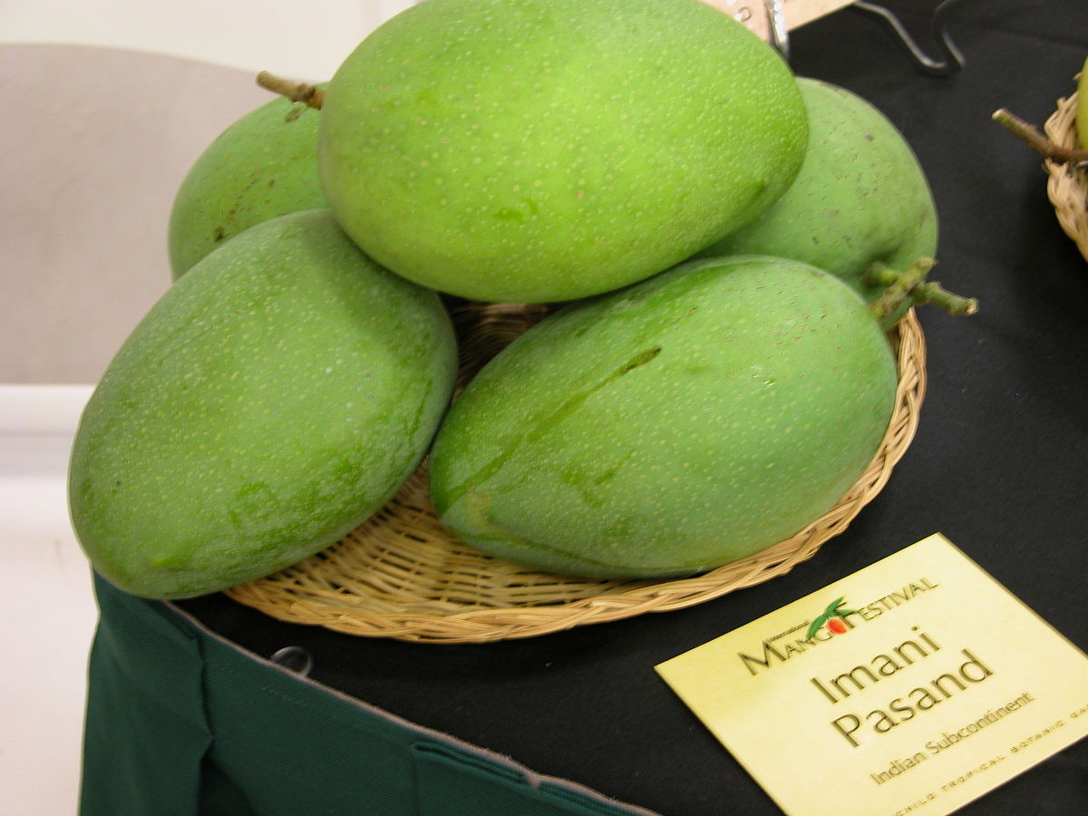 Mango (retailer) - Wikipedia
