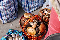 Forest-picked mushrooms at a Ukrainian market in Kolomyia, Ukraine Market Mushrooms.JPG