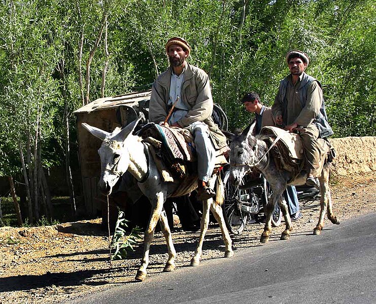 File:Men on donkeys, Afghanistan.jpg