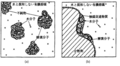 2024年2月24日 (土) 21:17時点における版のサムネイル