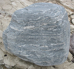 Migmatite 2005.jpg