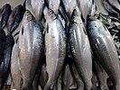 虱目魚(サバヒー)。スープ・餃子の具・鍋料理・魚団子にされる旨味の濃い食用魚。