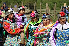 Mapuche women of Tirua Ministro Osorio entrega terreno a Comunidad Mapuche Lorenzo Quintrileo de Tirua.jpg