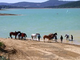 Lac de-Montbel