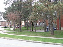 Two-story brick townhouses on a winding street, with pine trees and parked cars in foreground