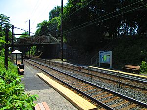 Mount Joy istasyonu (1), Haziran 2013.jpg
