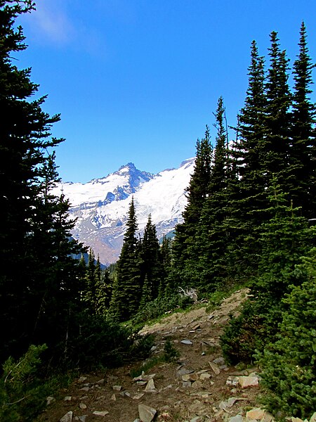 File:Mount Rainier National Park (9290439476).jpg