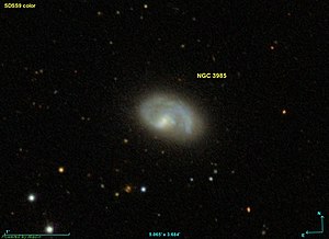 NGC 3985 SDSS.jpg