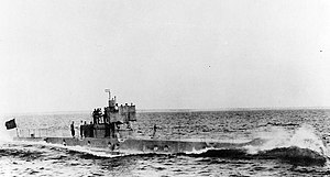 NH-81352 USS L-5 en marcha.jpg