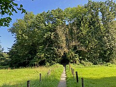 Laubwald säumt die Talaue