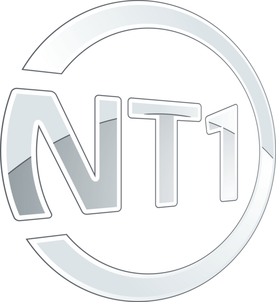 File:NT1 2008 logo.png