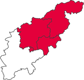 NorthamptonshireParliamentaryConstituency1929Results.svg