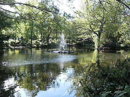 The Arboretum is perfect for a relaxing walk to get away from the crowded city.