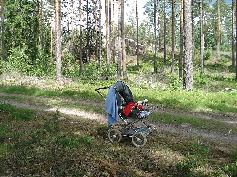 File:Old-fashioned pram in pine woods.jpg