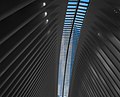Image 51One World Trade Center through the Oculus